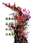 校园文化