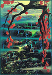 静谥丛林