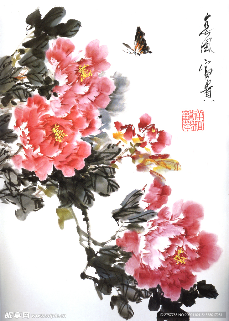 牡丹图
