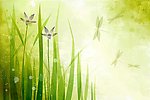 漂亮绿色植物PSD分层素材