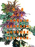 校园文化