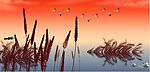 芦荡情 风景