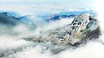 云海寿星