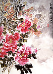 牡丹花