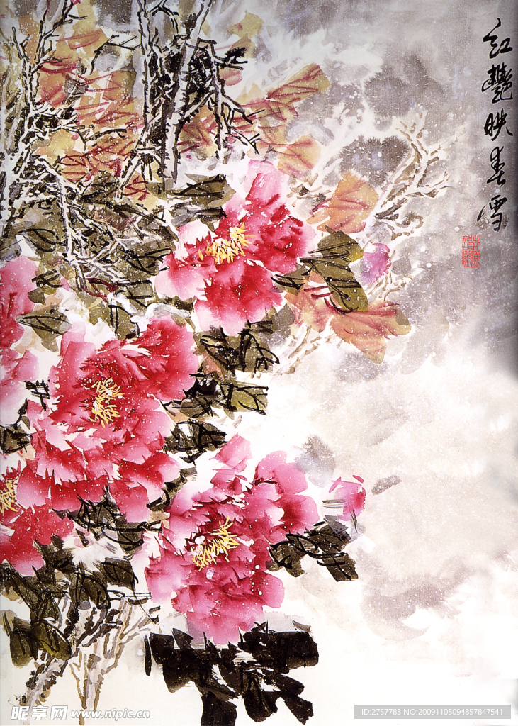 牡丹花