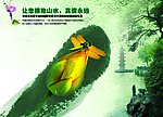 中国风