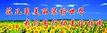 校园文化