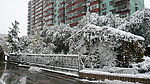 大雪