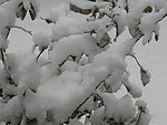 大雪