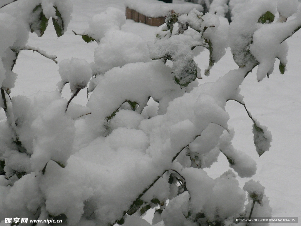 大雪