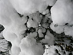 大雪