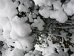 大雪