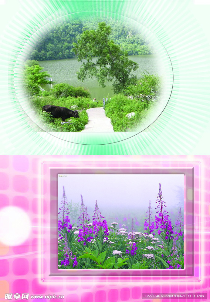 同学录模板