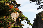 秋染黄山