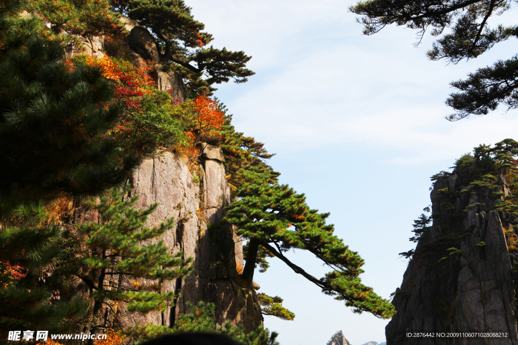 秋染黄山