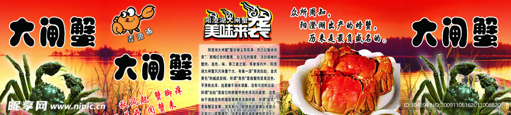 大闸蟹 海报