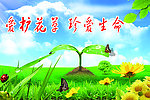爱护花草 珍爱生命