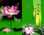 菜谱封面