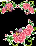玫瑰花