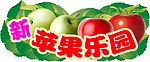 苹果乐园