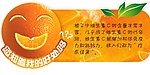 橙子