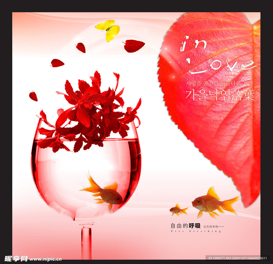 红色枫叶(专辑Ⅱ)