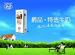 夏进牛奶爵品海报