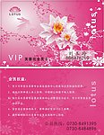 芙蓉 PVC卡