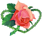 一朵花