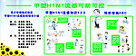 H1N1宣传栏