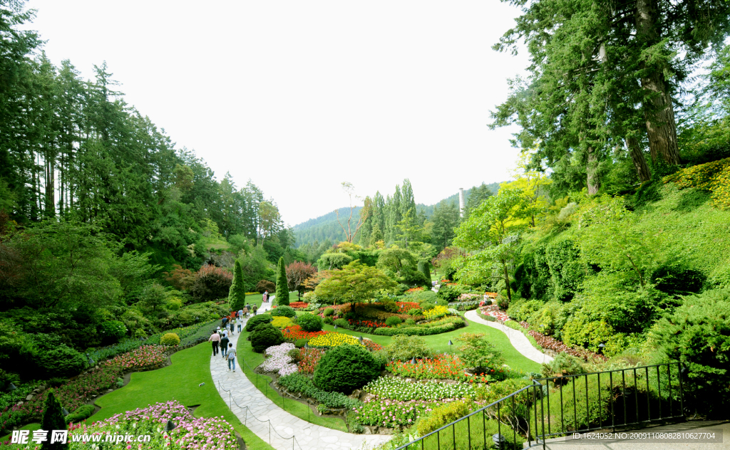 风景