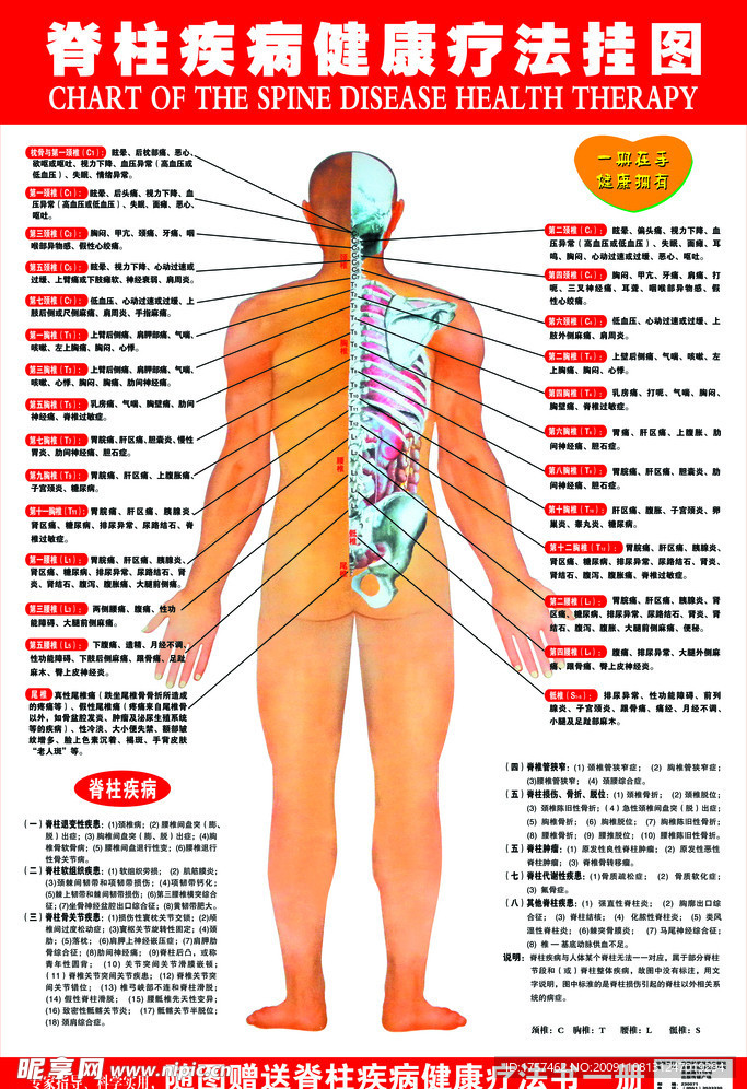 脊柱疾病健康疗法挂图