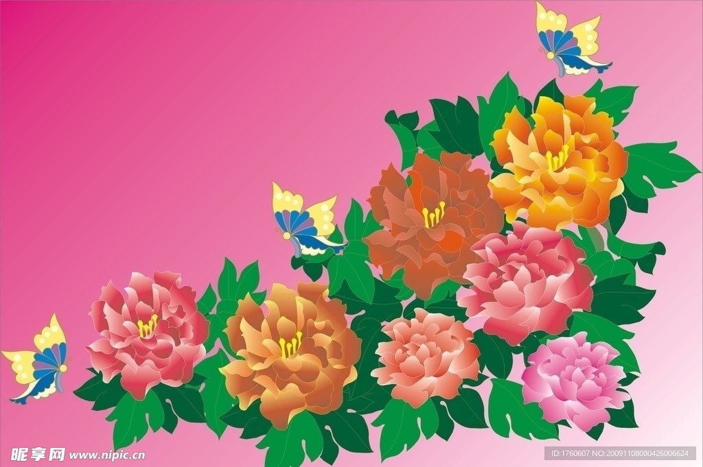 牡丹花