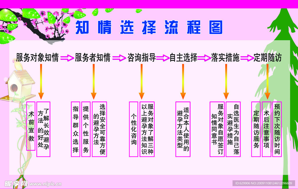 计生 知情选择流程图