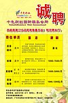 招聘 诚聘
