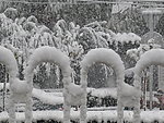 大雪
