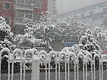 大雪