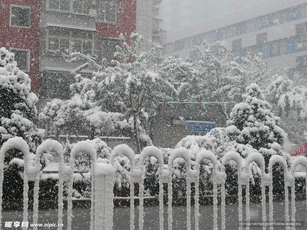 大雪