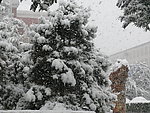 大雪