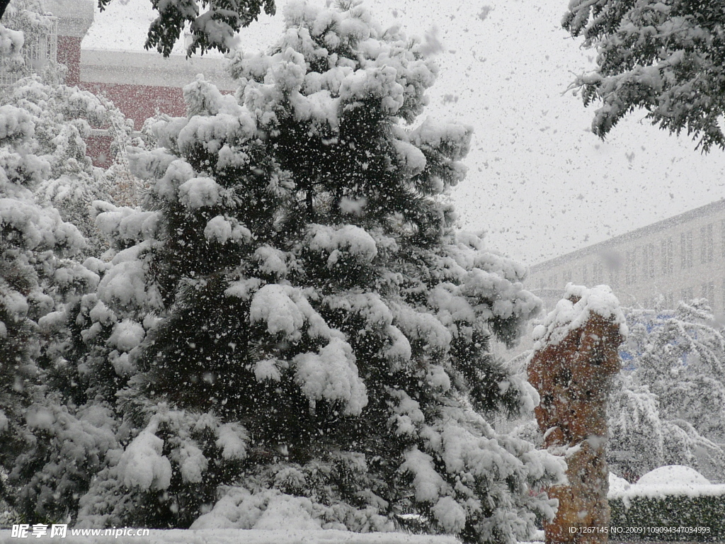 大雪