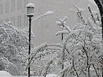 大雪