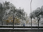 大雪