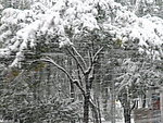 大雪