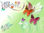 唯美蝶恋花