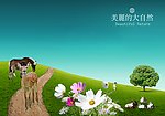 美丽的大自然