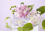 鲜花