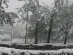 大雪
