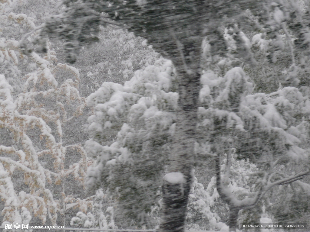 大雪