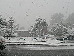 大雪