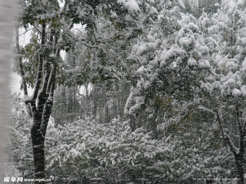 大雪